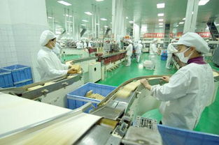 哈尔滨市 近五年,食品工业总产值年均增速百分之二十
